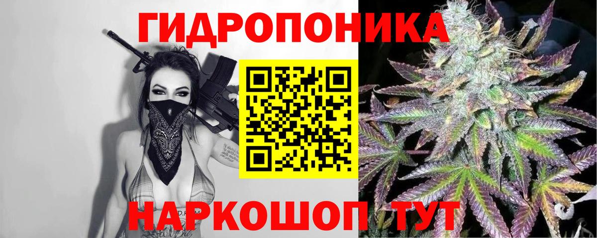 Конопля VHQ  Бошки Шишки LSD WEED  Белгород  Конопля планчик  Вход с VPN 